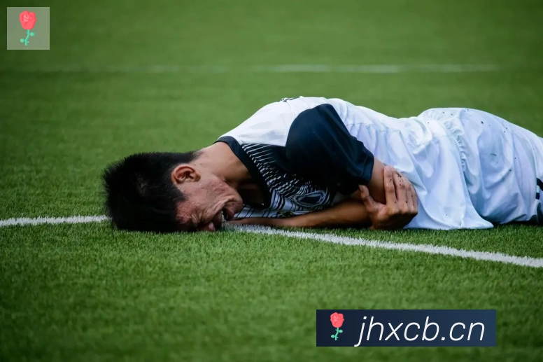 华体网页版页面登录荣誉