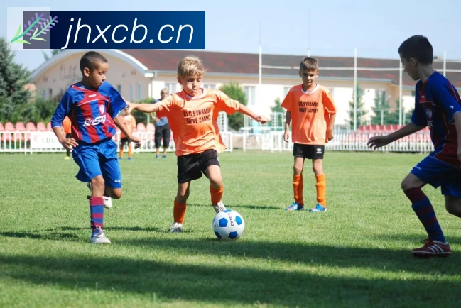 华体网页版页面登录荣誉